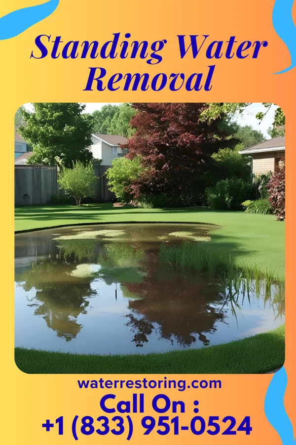 Standing Water Removal in Kirby, TX